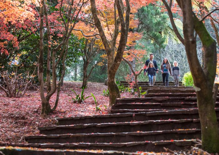 Family enjoying a visit at Breenhold Gardens in Mount Tomah, Blue Mountains
