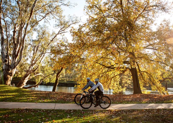 Cyclists riding the foreshore path at Noreuil Park, Albury