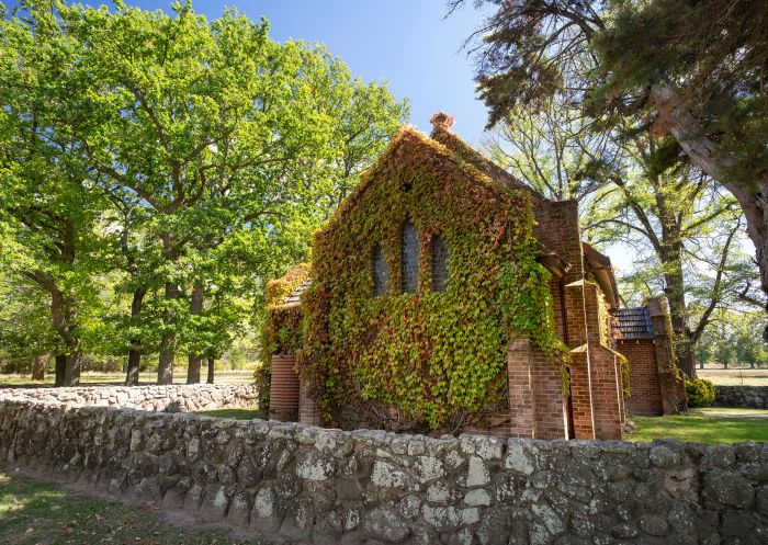 Boston ivy covered Gostwyck chapel, Tamworth area 