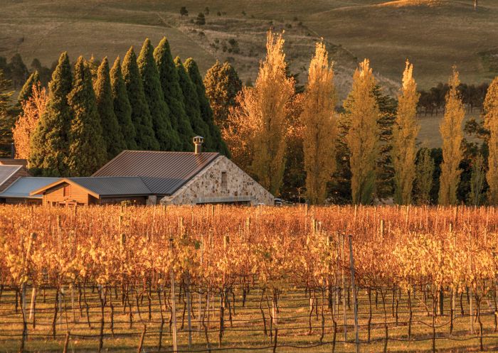 Autumn at Bendooley Estate, Berrima