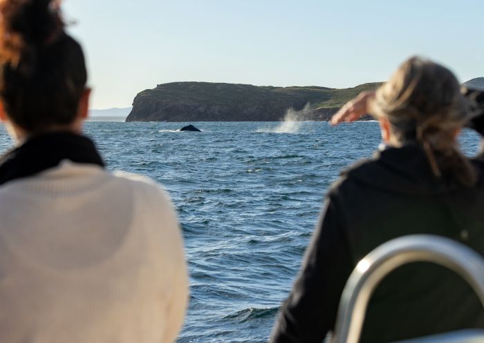 Imagine Cruises, Nelson Bay - Credit: DNSW