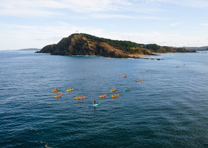 Kayaks on the water, Cape Byron Kayaks, Byron Bay