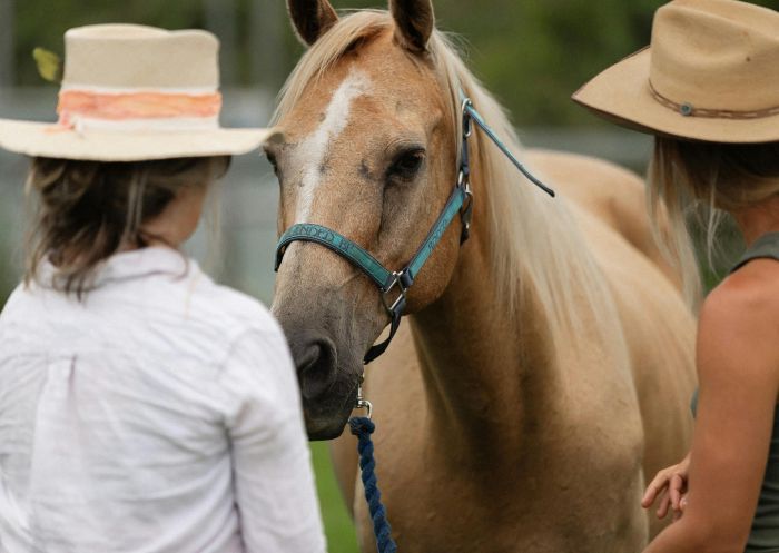 Equine Wellness, Sugar Beach Ranch, South Ballina, North Coast NSW - Credit: Robyn Stoddart